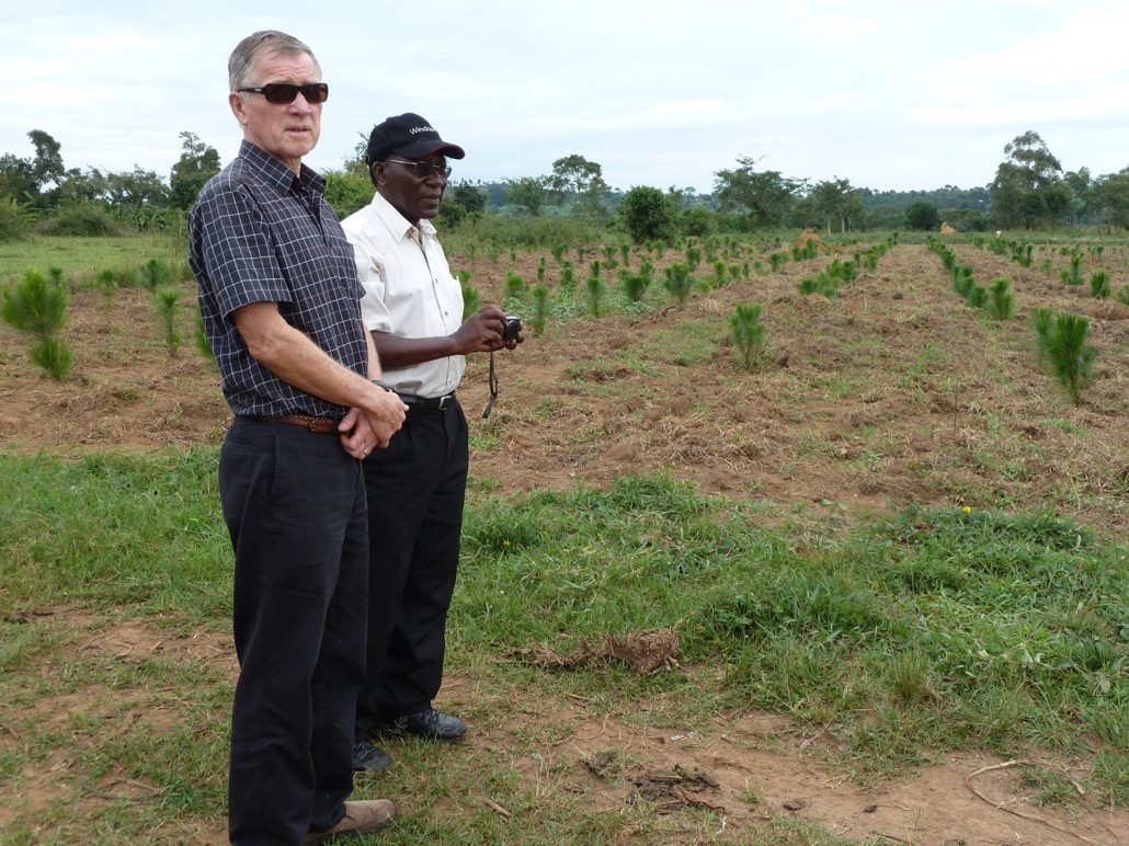 Reforestation as a Building Block to Community Economic Development