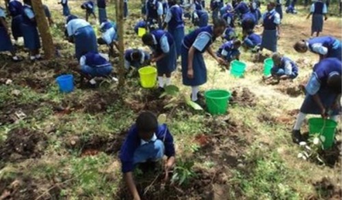 Plant-a-Tree-Save-the-Future-Nigeria-sm_0