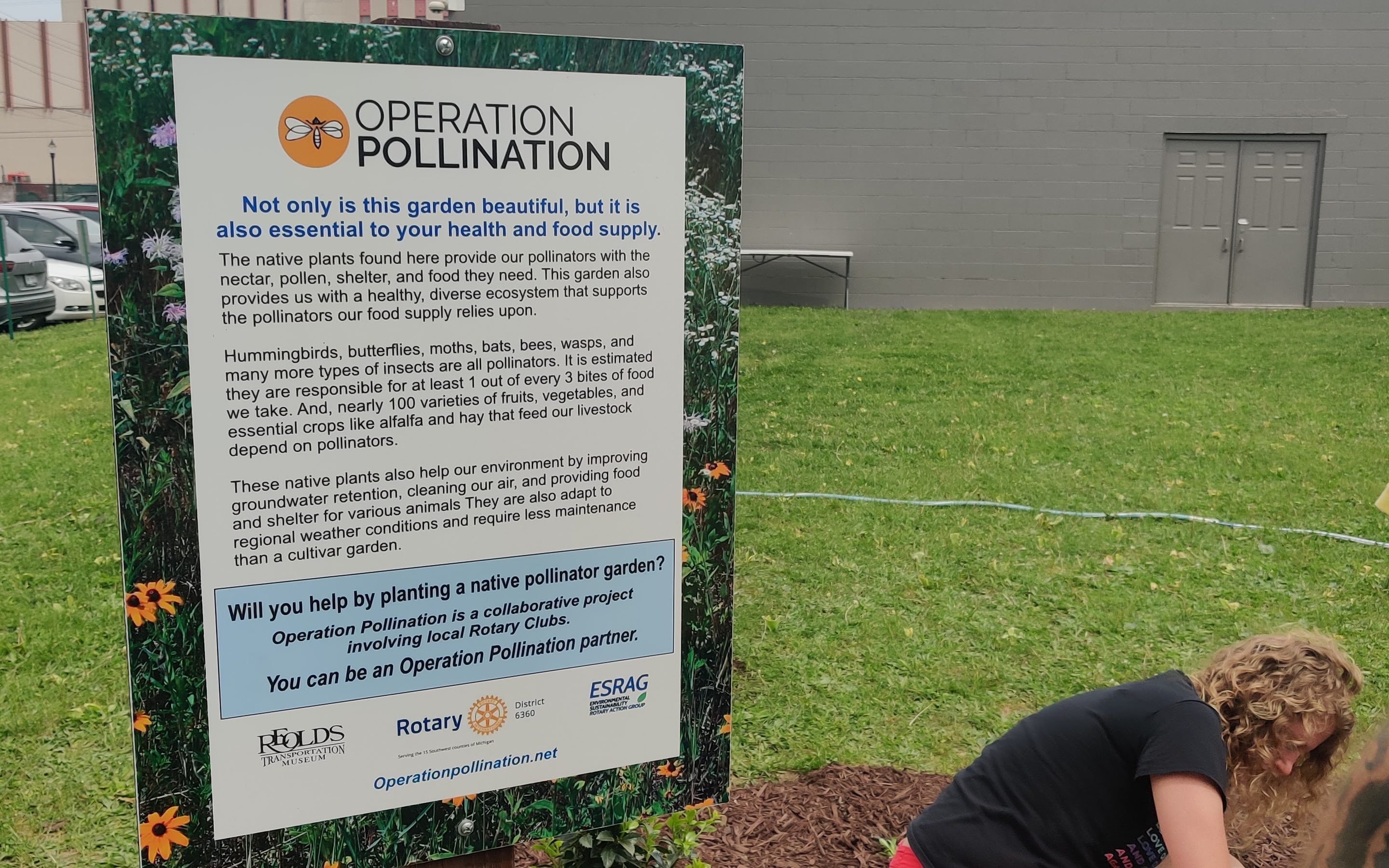 Oldsmobile Museum Pollinator Garden